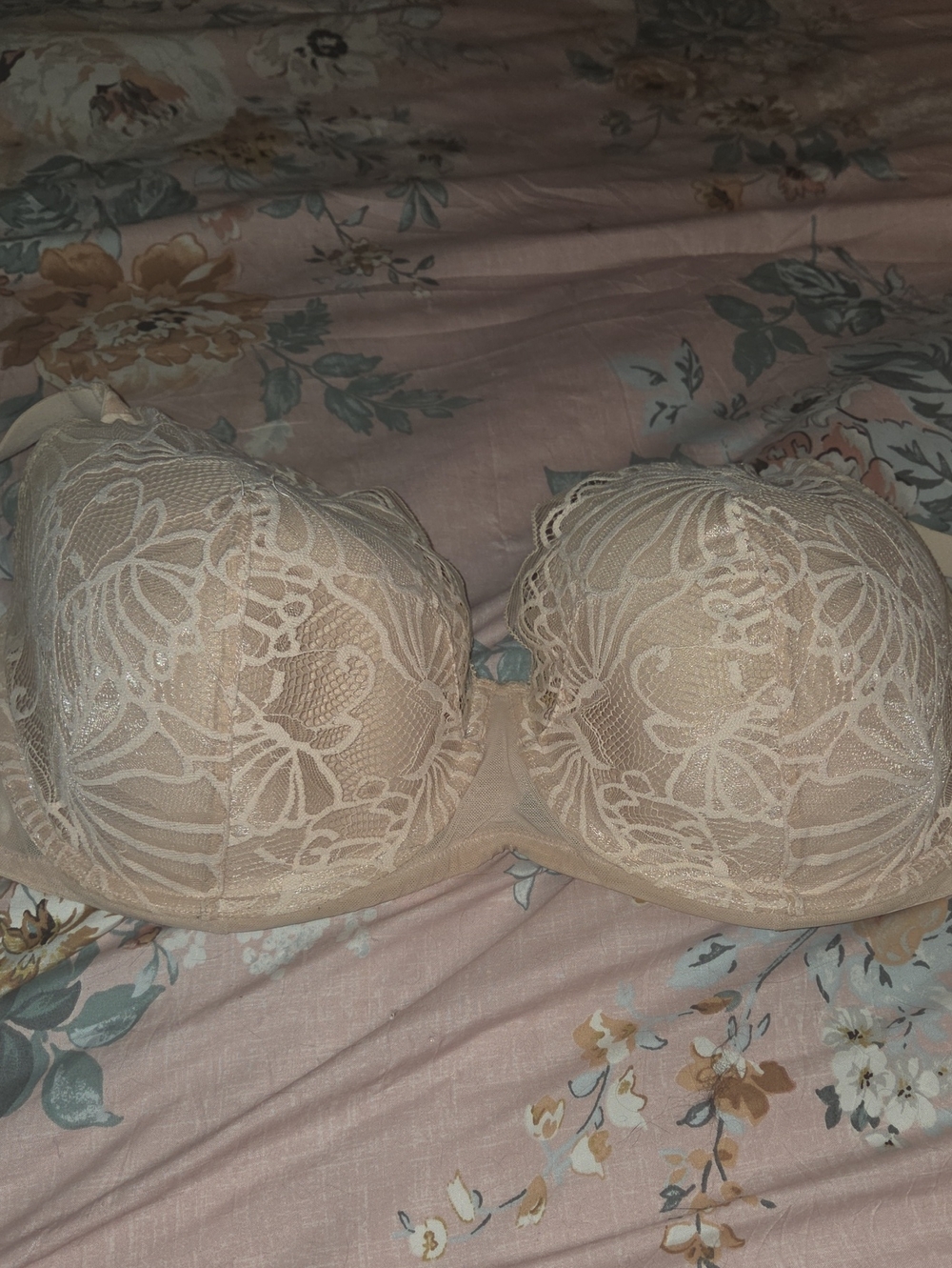 Paramour by Felina Tempting Plush Lace Bra SZ 42 DDD